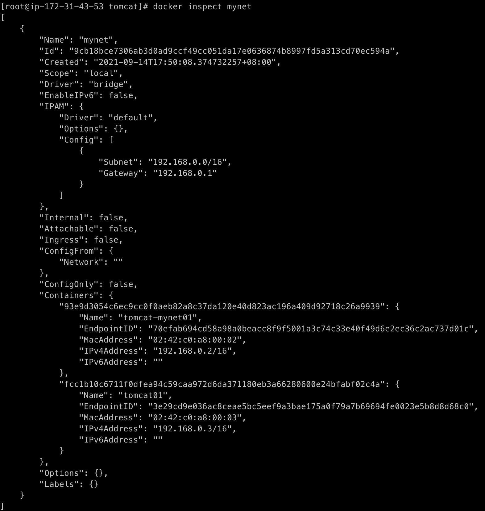 image-20210914180245851