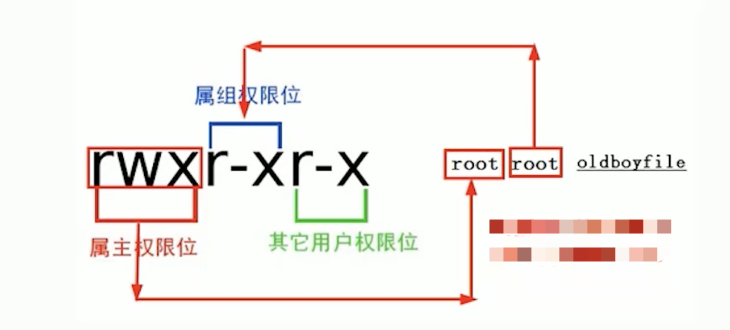image-20220622202812446