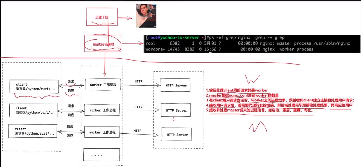 image-20220816165428792