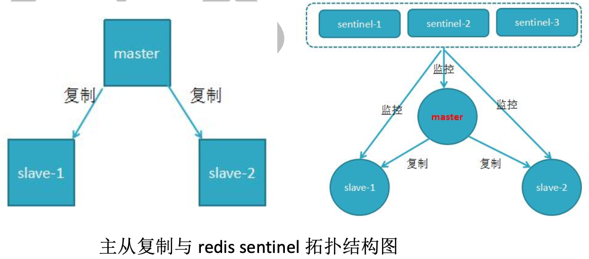image-20221024164221031