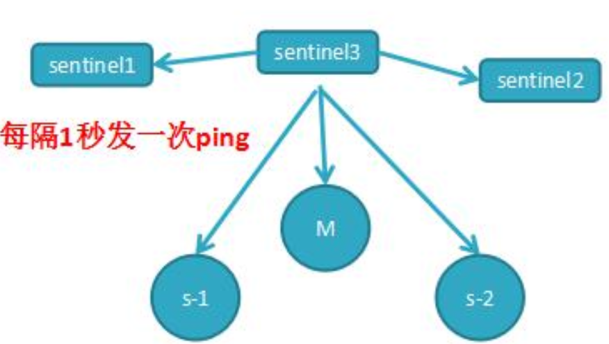 image-20221024164558294