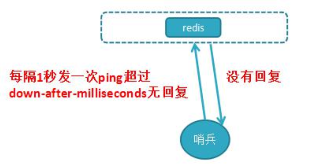image-20221024164724149